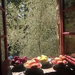 Oda ve Kahvaltı Mas Lo Faix